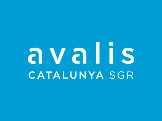 avalis logo serveis