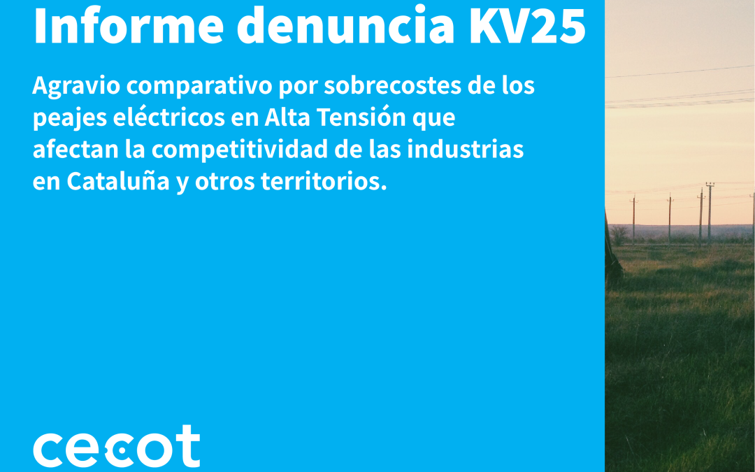 Informe de denuncia kV25